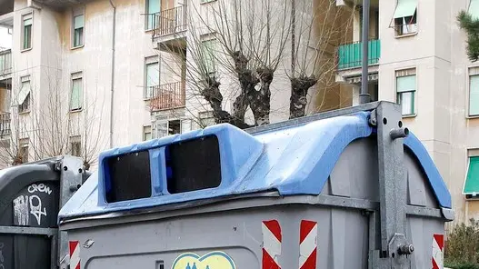 Silvano Trieste 25/02/2016 Borgo San Sergio, presenza massiccia di ratti