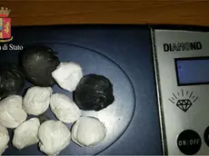 Immagine dello stupefacente sequestrato dalla Polizia di Monfalcone