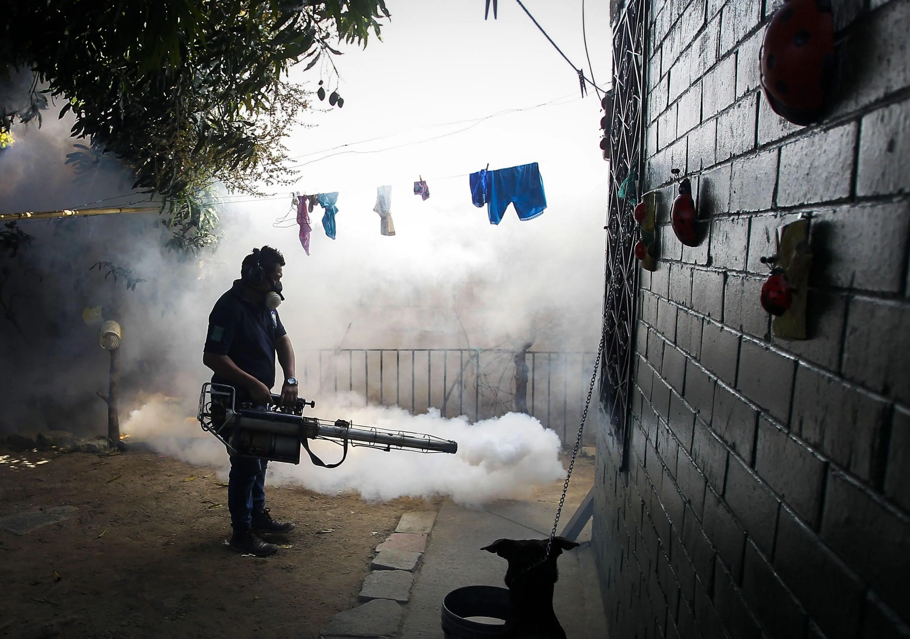 Disinfestazione a San Salvador: si uccidono le larve delle zanzare