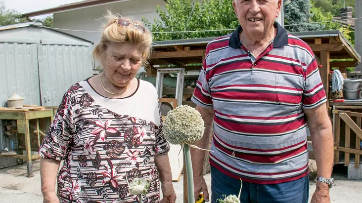 Bonaventura Monfalcone-30.06.2020 Pianta anomala di porro-Giacovaz-Fogliano Redipuglia-foto di Katia Bonaventura