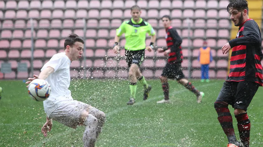 Lasorte Trieste 14/02/16 - Serie D, Triestina- Fontanafredda