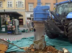 Foto Bruni 05.03.14 Viale XX settembre: rimozione dei ceppi e panchine nuove sul fondo del viale